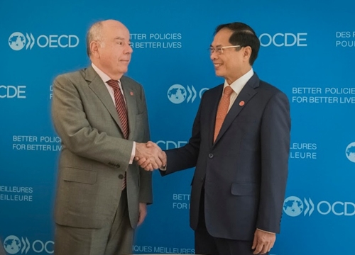 Thúc đẩy hợp tác nhiều mặt giữa Việt Nam với Brazil, Pháp, EC và Canada